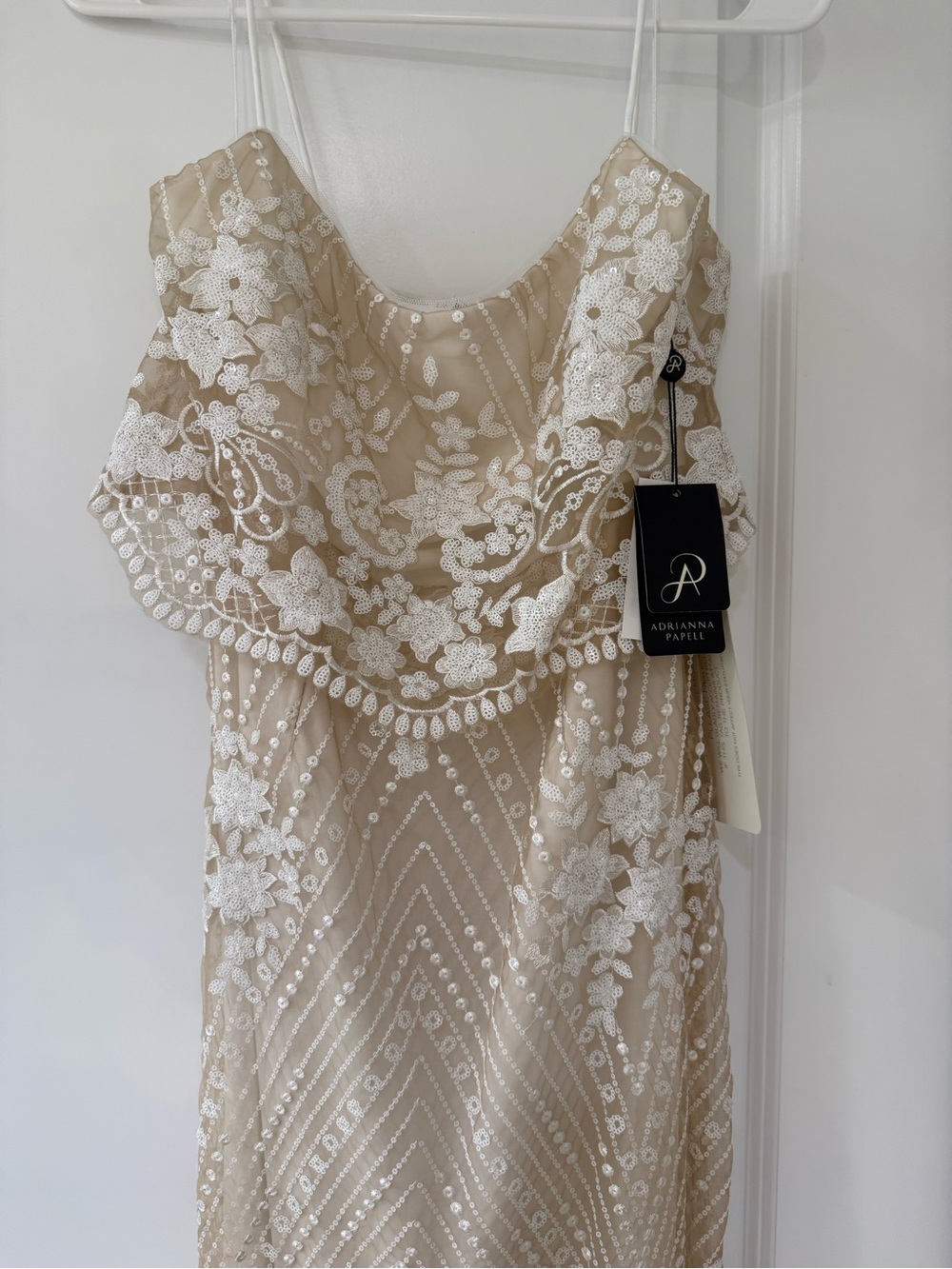 Adrianna Papell Champagne and White Lace Beaded Maxi Gown - Picture 2 of 9